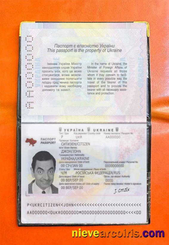 Ukraine passport photolook